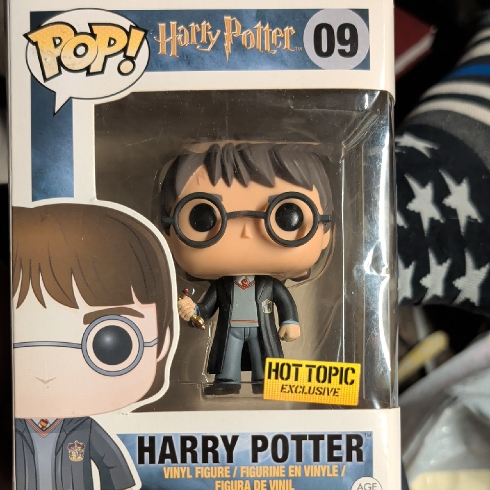 Funko Harry Potter Figure with Sword (Hot Topic Exclusive)
